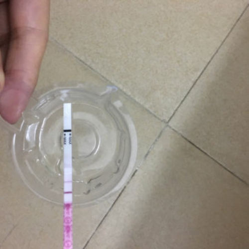 私立试管医院排名与助孕机构比较指南
