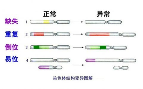 正规试管婴儿医院列表与成功率解析，助您解答疑惑