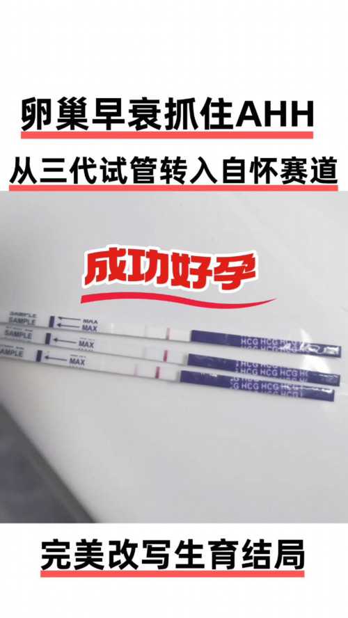 广州试管医院代怀服务对比，附等待时间与费用解析