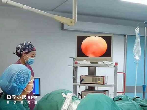 广州单身人士辅助生殖咨询：先核实规则再准备就诊资料
